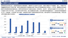 2025版中国领带行业市场规模及投资策略研究演讲